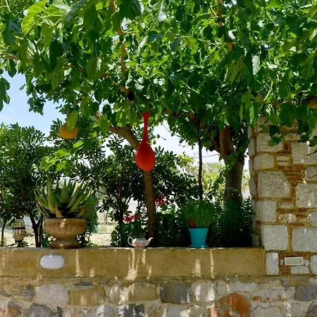 Athina'S Apartment In Olive Grove Faliraki Exterior photo