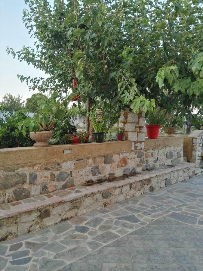Apartament Athina's In Olive Grove Faliraki