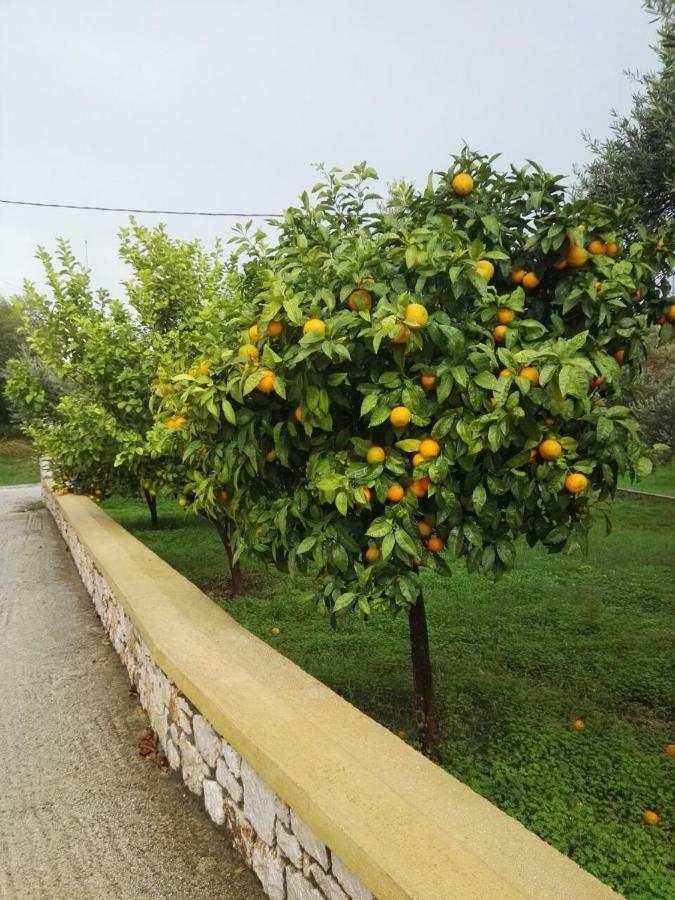 Athina's In Olive Grove Apartament Faliraki